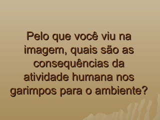 Pelo que você viu naPelo que você viu na
imagem, quais são asimagem, quais são as
consequências daconsequências da
atividade humana nosatividade humana nos
garimpos para o ambiente?garimpos para o ambiente?
 