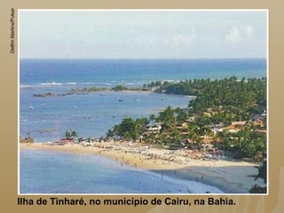 Ilha de Tinharé, no município de Cairu, na Bahia.
DelfimMartins/Pulsar
 