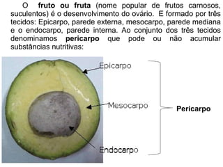 O   fruto ou fruta  (nome popular de frutos carnosos, suculentos) é o desenvolvimento do ovário.  E formado por três tecidos: Epicarpo,   parede externa, mesocarpo,   parede mediana e o endocarpo, parede interna. Ao conjunto dos três tecidos denominamos  pericarpo  que pode ou não acumular substâncias nutritivas:  Pericarpo 