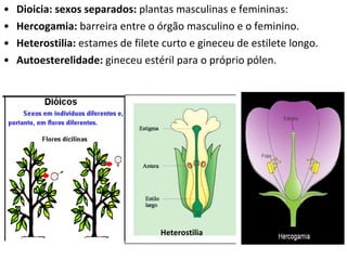 Dioicia: sexos separados:  plantas masculinas e femininas: Hercogamia:  barreira entre o órgão masculino e o feminino. Heterostilia:  estames de filete curto e gineceu de estilete longo. Autoesterelidade:  gineceu estéril para o próprio pólen. Heterostilia 