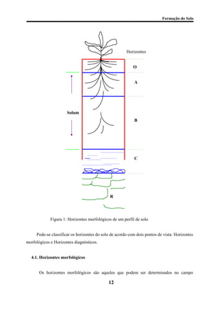 Formação do Solo 
Horizontes 
O 
A 
Solum 
B 
C 
R 
Figura 1: Horizontes morfológicos de um perfil de solo 
Pode-se classificar os horizontes do solo de acordo com dois pontos de vista: Horizontes morfológicos e Horizontes diagnósticos. 
4.1. Horizontes morfológicos 
Os horizontes morfológicos são aqueles que podem ser determinados no campo 
12 
 