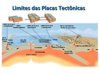 Limites das Placas TectônicasLimites das Placas Tectônicas
 