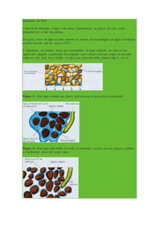 Humidade do Solo
Como já foi afirmado, a água é um factor determinante na génese do solo, sendo
indispensável à vida das plantas.
Em geral, o teor de água no solo exprime-se através da percentagem de água em relação
ao peso do solo, que foi seco a 105ºC.
É importante, no entanto, notar que a quantidade de água existente no solo só tem
significado quando considerada em conjunto com a força com que a água se encontra
retida no solo. Este facto facilita ou não a sua absorção pelas plantas (figs.5, 6 e 7).
Figura 5 - Esta água contida nos macro poros escoa-se por acção da gravidade
Figura 6 - Esta água está retida em volta de partículas terrosas ou nos espaços capilares
e é facilmente absorvida pelas raízes
 