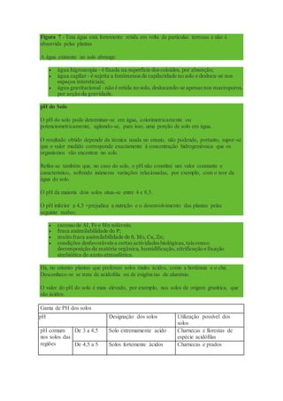 Figura 7 - Esta água está fortemente retida em volta de partículas terrosas e não é
absorvida pelas plantas
A água existente no solo abrange:
 água higroscopia - é fixada na superfície dos coloides, por absorção;
 água capilar - é sujeita a fenómenos de capilaridade no solo e desloca-se nos
espaços intersticiais;
 água gravitacional - não é retida no solo, deslocando-se apenas nos macroporos,
por acção da gravidade.
pH do Solo
O pH do solo pode determinar-se em água, colorimetricamente ou
potenciometricamente, agitando-se, para isso, uma porção de solo em água.
O resultado obtido depende da técnica usada no ensaio, não podendo, portanto, supor-se
que o valor medido corresponde exactamente á concentração hidrogeniónica que os
organismos vão encontrar no solo.
Refira-se também que, no caso do solo, o pH não constitui um valor constante e
característico, sofrendo inúmeras variações relacionadas, por exemplo, com o teor da
água do solo.
O pH da maioria dois solos situa-se entre 4 e 8,5.
O pH inferior a 4,5 +prejudica a nutrição e o desenvolvimento das plantas pelas
seguinte razões:
 excesso de AI, Fe e Mn solúveis;
 fraca assimilabilidade do P;
 muito fraca assimilabilidade de S, Mo, Cu, Zn;
 condições desfavoráveis a certas actividades biológicas, tais como:
decomposição da matéria orgânica, humidificação, nitrificação e fixação
simbiótica do azoto atmosférico.
Há, no entanto plantas que preferem solos muito ácidos, como a hortênsia e o chá.
Desconhece-se se trata de acidofilia ou de exigências de alumínio.
O valor do pH do solo é mais elevado, por exemplo, nos solos de origem granítica, que
são ácidos.
Gama de PH dos solos
pH Designação dos solos Utilização possível dos
solos
pH comum
nos solos das
regiões
De 3 a 4,5 Solo extremamente acido Charnecas e florestas de
espécie acidófilas
De 4,5 a 5 Solos fortemente ácidos Charnecas e prados
 