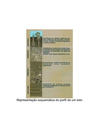 Representação esquemática do perfil de um solo
 