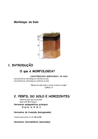 Morfologia do Solo
MORFOLOGIA DO SOLO
1. INTRODUÇÃO
O que é MORFOLOGIA?
CARACTERIZAÇÃO MORFOLÓGICA DO SOLO
Características morfológicas internas do solo
Características morfológicas externas do solo
“Manual de descrição e coleta de solo no campo”.
LEMOS, R.
2. PERFIL DO SOLO E HORIZONTES
Identificação dos Horizontes
Descrição Morfológica
Horizontes pedogenéticos principais
O ou H, A, E, B, C
Horizontes de transição (miscigenados)
Transicionais entre A e B AB ou BA
Horizontes intermediários (mesclados)
 