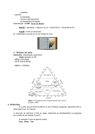 - vermelhas
- amarelas
- acinzentadas
- claras ou esbranquiçadas
- Hz mosqueados/variegados
Determinação da COR . Escala de Munsell
MATIZ – representa o espectro da cor = Yellow-Red Y = Yellow 5R até 5Y
VALOR – brilho ou tonalidade
A – intensidade ou pureza da cor em relação ao cinza
3- TEXTURA DO SOLO
Laboratório determinação quantitativa
Campo sensação ao tato
- AREIA 2,0–0,05mm
- SILTE 0,05-0,002mm
- ARGILA  0,002mm
4- ESTRUTURA
É a união das partículas primárias do solo formando agregados, separados entre si
pelas superfícies de fraqueza.
A descrição de estrutura é feita no campo, observando-se detalhadamente os agregados
por ocasião de sua remoção no perfil.
A anotação é feita na seguinte ordem:
Grau, Classe, Tipo
 