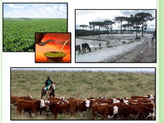 Formação do Território Brasileiro