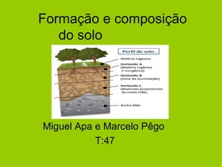 Formação e composição
   do solo




Miguel Apa e Marcelo Pêgo
           T:47
 