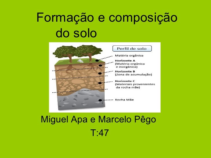 Identifique Qual Solo Era Jovem E Qual Era Bem Desenvolvido