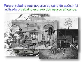 Para o trabalho nas lavouras de cana de açúcar foi
utilizado o trabalho escravo dos negros africanos.
 
