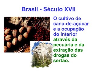 O cultivo de
cana-de-açúcar
e a ocupação
do interior
através da
pecuária e da
extração das
drogas do
sertão.
Brasil - Século XVII
 