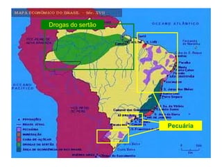 Drogas do sertão
Pecuária
 