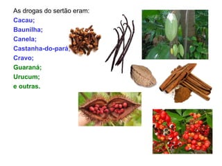 As drogas do sertão eram:
Cacau;
Baunilha;
Canela;
Castanha-do-pará;
Cravo;
Guaraná;
Urucum;
e outras.
 