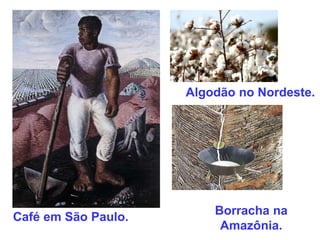 Algodão no Nordeste.
Café em São Paulo.
Borracha na
Amazônia.
 