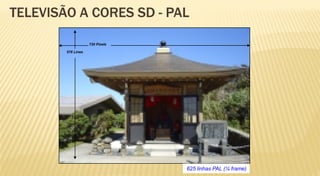 TELEVISÃO A CORES SD - PAL

                    720 Pixels

        576 Lines




                                 625 linhas PAL (¼ frame)
 