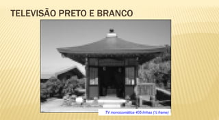 TELEVISÃO PRETO E BRANCO




                  TV monocomática 405 linhas (¼ frame)
 