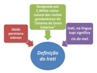 Definição
do Irati
Idade
permiana
inferior
Designada por
C.White como:
coluna das rochas
gondwânicas do
"Sistema de Santa
Catarina“ Irati, na língua
tupi significa
rio do mel.
 