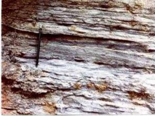 No continente africano
ocorre a Formação
White Band
corresponde ao Grupo Tubarão
do Brasil, graças à posição
estratigráfica, semelhança
litológica e paleontológica.
 