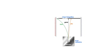 Formação Nuclear.pptx