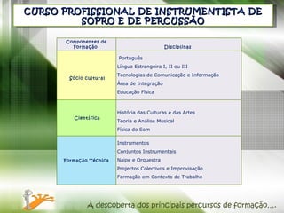 CURSO PROFISSIONAL DE INSTRUMENTISTA DE SOPRO E DE PERCUSSÃO À descoberta dos principais percursos de formação…. Componentes de Formação    Disciplinas        Sócio cultural   Português  Língua Estrangeira I, II ou III Tecnologias de Comunicação e Informação Área de Integração  Educação Física   Científica   História das Culturas e das Artes Teoria e Análise Musical Física do Som        Formação Técnica    Instrumentos  Conjuntos Instrumentais Naipe e Orquestra  Projectos Colectivos e Improvisação Formação em Contexto de Trabalho  