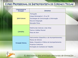 CURSO PROFISSIONAL DE INSTRUMENTISTA DE CORDAS E TECLAS

        Componentes de
          Formação                                  Disciplinas

                              Português
                             Língua Estrangeira I, II ou III
          Sócio cultural     Tecnologias de Comunicação e Informação
                             Área de Integração
                             Educação Física


                             História das Culturas e das Artes
                             Teoria e Análise Musical
           Científica
                             Física do Som


                             Instrumentos (Específico e de Acompanhamento)
                             Música de Câmara
                             Naipe, Orquestra e Prática de Acompanhamento
        Formação Técnica
                             Projectos Colectivos
                             Formação em Contexto de Trabalho




                        À descoberta dos principais percursos de formação….
 