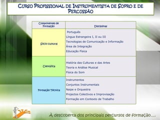 CURSO PROFISSIONAL DE INSTRUMENTISTA DE SOPRO E                     DE
                    PERCUSSÃO

        Componentes de
          Formação                             Disciplinas

                          Português
                          Língua Estrangeira I, II ou III
                          Tecnologias de Comunicação e Informação
         Sócio cultural
                          Área de Integração
                          Educação Física



                          História das Culturas e das Artes
          Científica
                          Teoria e Análise Musical
                          Física do Som

                          Instrumentos
                          Conjuntos Instrumentais

       Formação Técnica   Naipe e Orquestra
                          Projectos Colectivos e Improvisação
                          Formação em Contexto de Trabalho




                À descoberta dos principais percursos de formação….
 