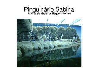 Pinguinário Sabina
 Andréa de Medeiros Nogueira Nunes
 