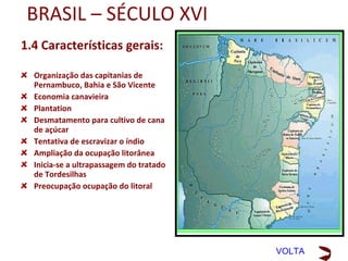 Pau-brasil ou Ibirapitanga
 