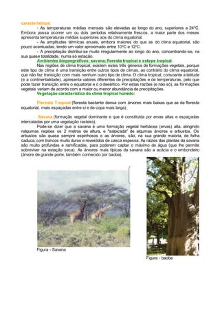 características:
- As temperaturas médias mensais são elevadas ao longo do ano, superiores a 240
C.
Embora possa ocorrer um ou dois períodos relativamente frescos, a maior parte dos meses
apresenta temperaturas médias superiores aos do clima equatorial.
- As amplitudes térmicas anuais, embora maiores do que as do clima equatorial, são
pouco acentuadas, tendo um valor aproximado entre 100
C e 120
C.
- A precipitação distribui-se muito irregularmente ao longo do ano, concentrando-se, na
sua quase totalidade, numa só estação.
Ambientes biogeográficos: savana; floresta tropical e estepe tropical.
Nas regiões de clima tropical, existem estes três géneros de formações vegetais, porque
este tipo de clima é uma transição entre outros tipos de climas, ao contrário do clima equatorial,
que não faz transição com mais nenhum outro tipo de clima. O clima tropical, consoante a latitude
(e a continentalidade), apresenta valores diferentes de precipitações e de temperaturas, pelo que
pode fazer transição entre o equatorial e o o desértico. Por estas razões (e não só), as formações
vegetais variam de acordo com a maior ou menor abundância de precipitações.
Vegetação característica do clima tropical húmido:
Floresta Tropical (floresta bastante densa com árvores mais baixas que as da floresta
equatorial, mais espaçadas entre si e de copa mais larga);
Savana (formação vegetal dominante e que é constituída por ervas altas e espaçadas
intercaladas por uma vegetação rasteira).
Pode-se dizer que a savana é uma formação vegetal herbácea (ervas) alta, atingindo
nalgumas regiões os 2 metros de altura, e "salpicada" de algumas árvores e arbustos. Os
arbustos são quase sempre espinhosos e as árvores, são, na sua grande maioria, de folha
caduca, com troncos muito duros e revestidos de casca espessa. As raízes das plantas da savana
são muito profundas e ramificadas, para poderem captar o máximo de água (que lhe permite
sobreviver na estação seca). As árvores mais típicas da savana são a acácia e o embondeiro
(árvore de grande porte, também conhecido por baoba).
Figura - Savana
Figura - baoba
 