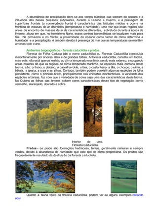 A abundância de precipitação deve-se aos ventos húmidos que sopram do oceano e à
influência das baixas pressões subpolares, durante o Outono e Inverno, e à passagem de
superfícies frontais (a convergência frontal é característica das latitudes médias e ocorre na
fronteira de massas de ar diferentes (temperatura e humidade), uma vez que estas regiões são
áreas de encontro de massas de ar de características diferentes, sobretudo durante a época de
Inverno, altura em que, no hemisfério Norte, esses centros barométricos se localizam mais para
Sul. Na primavera e no Verão, a proximidade do oceano como factor de clima determina a
humidade e a precipitação. é também devido à presença do mar que as temperaturas se mantêm
amenas todo o ano.
Ambientes biogeográficos - floresta caducifólia e prados.
Floresta de Folha Caduca (daí o nome caducifólia) ou Floresta Caducifólia constituída
maioritariamente por árvores altas e de grandes folhas. A floresta caducifólia, constitui um bioma,
mas este, não está apenas restrito ao clima temperado marítimo, sendo mais extenso, e ocupando
áreas maiores do que as regiões de clima temperado marítimo. As espécies mais comuns deste
bioma, são: o freixo, o plátano, o carvalho-roble, a faia, o castanheiro, a tília, o choupo, o olmo, a
bétula, a giesta, a urze e as silvas. Contudo, também podem coexistir algumas espécies de folha
persistente, como o pinheiro-bravo, principalmente nas encostas montanhosas. A variedade das
espécies arbóreas, faz com que a variedade de cores seja uma das características deste bioma.
No Outono as folhas das árvores exibem cores características desse tipo de vegetação, como
vermelho, alaranjado, dourado e cobre.
Interior de uma
Floresta Caducifólia.
Prados - os prado são formações herbáceas, tenras, geralmente rasteiras e sempre
verdes, devido à abundância de humidade que este tipo de clima proporciona. Os prados são
frequentemente resultado da destruição da floresta caducifólia.
Quanto à fauna típica da floresta caducifólia, podem ver-se alguns exemplos clicando
aqui.
 