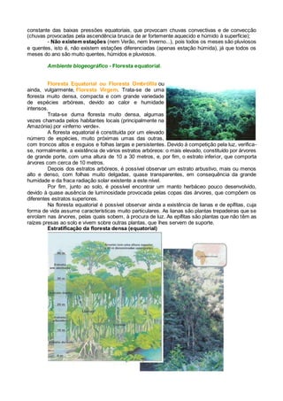 constante das baixas pressões equatoriais, que provocam chuvas convectivas e de convecção
(chuvas provocadas pela ascendência brusca de ar fortemente aquecido e húmido à superfície);
- Não existem estações (nem Verão, nem Inverno...), pois todos os meses são pluviosos
e quentes, isto é, não existem estações diferenciadas (apenas estação húmida), já que todos os
meses do ano são muito quentes, húmidos e pluviosos.
Ambiente biogeográfico - Floresta equatorial.
Floresta Equatorial ou Floresta Ombrófila ou
ainda, vulgarmente, Floresta Virgem. Trata-se de uma
floresta muito densa, compacta e com grande variedade
de espécies arbóreas, devido ao calor e humidade
intensos.
Trata-se duma floresta muito densa, algumas
vezes chamada pelos habitantes locais (principalmente na
Amazónia) por «inferno verde».
A floresta equatorial é constituída por um elevado
número de espécies, muito próximas umas das outras,
com troncos altos e esguios e folhas largas e persistentes. Devido à competição pela luz, verifica-
se, normalmente, a existência de vários estratos arbóreos: o mais elevado, constituído por árvores
de grande porte, com uma altura de 10 a 30 metros, e, por fim, o estrato inferior, que comporta
árvores com cerca de 10 metros.
Depois dos estratos arbóreos, é possível observar um estrato arbustivo, mais ou menos
alto e denso, com folhas muito delgadas, quase transparentes, em consequência da grande
humidade e da fraca radiação solar existente a este nível.
Por fim, junto ao solo, é possível encontrar um manto herbáceo pouco desenvolvido,
devido à quase ausência de luminosidade provocada pelas copas das árvores, que compõem os
diferentes estratos superiores.
Na floresta equatorial é possível observar ainda a existência de lianas e de epífitas, cuja
forma de vida assume características muito particulares. As lianas são plantas trepadeiras que se
enrolam nas árvores, pelas quais sobem, à procura de luz. As epífitas são plantas que não têm as
raízes presas ao solo e vivem sobre outras plantas, que lhes servem de suporte.
Estratificação da floresta densa (equatorial)
 