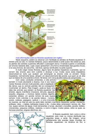 mais informações sobre as florestas equatoriais (em inglês):
Neste esquema, podem-se observar com facilidade os estratos da floresta equatorial. O
estrato junto ao solo, é o estrato herbáceo, pouco desenvolvido e onde quase não existe luz, pois
as plantas dos estratos superiores dificultam a passagem da luz. O estrato superior, é constituído
por árvores bastante altas, cujas copas apresentam uma forma arredondada (tipo guarda-chuva),
e os seus troncos, de casca fina, são lisos, apenas ramificados na parte superior.
É muito vulgar nestas florestas, alguns tipos de plantas trepadoras e parasitas, que se
servem das árvores para irem subindo e alcançar a luz; muitas vezes estas trepadeiras
desenvolvem-se tanto que acabam por estrangular as árvores onde se enrolam. Estas
trepadeiras, normalmente lianas, atingem um desenvolvimento tão grande, que quem as vê, diria
que se tratava de uma autentica árvore. Há lianas com cerca de 200 metros de comprimento.
Com estas condições ambientais, a vida animal
também é muito abundante e diversa, mas é raro haver
nestas florestas animais muito grandes, pois a vegetação é
tão densa, que os animais grandes não se conseguiriam
movimentar ali dentro. Pela imagem, pode-se fazer uma
ideia dos animais que existem na floresta equatorial: nas
árvores, alguns mamíferos (macacos, lémures, jaguares,
esquilos, preguiças...), imensos répteis (cobras, lagartos,
serpentes, jibóias), um grande número de aves (quase
sempre muito coloridas e de grande beleza - tucanos,
araras, catatuas, papagaios, quetzal...), e uma imensidão
de insectos; ao nível do solo (ou perto dele), também mamíferos (leopardos, gorilas, mandarins,
antílopes, ratos....) répteis, batráquios (sapos e rãs - muitas delas venenosas), vermes, etc.. Nos
rios, quase sempre de águas muito lamacentas e turvas, abundam crocodilos, jacarés, búfalos,
rinocerontes, pequenos anfíbios, roedores, e como é lógico, muitos peixes, entre os quais, as
famosas piranhas, enguias-eléctricas, etc...
A floresta equatorial, bem como o clima
equatorial, está mais ou menos distribuída nas
seguintes áreas a verde. Na imagem, vê-se
perfeitamente três grandes áreas mundiais de
florestas equatoriais: na América do Sul, a
 