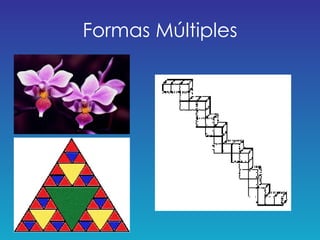 Formas Múltiples 