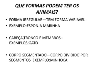 QUE FORMAS PODEM TER OS
ANIMAIS?
• FORMA IRREGULAR—TEM FORMA VARIAVEL
• EXEMPLO:ESPONJA MARINHA
• CABEÇA,TRONCO E MEMBROS–
EXEMPLOS:GATO
• CORPO SEGMENTADO—CORPO DIVIDIDO POR
SEGMENTOS EXEMPLO:MINHOCA
 