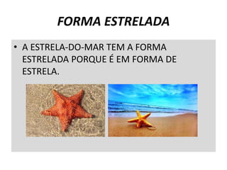 FORMA ESTRELADA
• A ESTRELA-DO-MAR TEM A FORMA
ESTRELADA PORQUE É EM FORMA DE
ESTRELA.
 