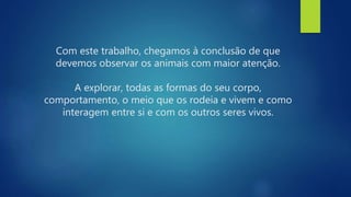 Com este trabalho, chegamos à conclusão de que
devemos observar os animais com maior atenção.
A explorar, todas as formas do seu corpo,
comportamento, o meio que os rodeia e vivem e como
interagem entre si e com os outros seres vivos.
 
