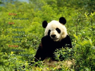 África  Marruecos Asia  Bahréin Jordania Kuwait Nepal Europa Mónaco Liechtenstein 