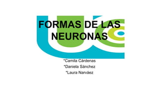 FORMAS DE LAS
NEURONAS
*Camila Cárdenas
*Daniela Sánchez
*Laura Narváez
 