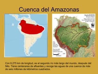 Cuenca del Amazonas Con 6.275 km de longitud, es el segundo río más largo del mundo, después del Nilo. Tiene centenares de afluentes y recoge las aguas de una cuenca de más de seis millones de kilómetros cuadrados.  