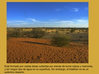 Está formado por vastas áreas cubiertas por arenas de tonos rojizos y marrones, y sin ningún tipo de agua en su superficie. Sin embargo, el Kalahari no es un auténtico desierto.  