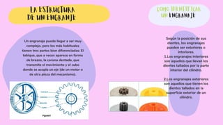 COMO IDENTIFICAR
UN ENGRANAJE
LA ESTRUCTURA
DE UN ENGRANJE
Un engranaje puede llegar a ser muy
complejo, pero los más habituales
tienen tres partes bien diferenciadas: El
tabique, que a veces aparece en forma
de brazos, la corona dentada, que
transmite el movimiento y el cubo
donde se acopla un eje (de un motor o
de otra pieza del mecanismo).
Según la posición de sus
dientes, los engranajes
pueden ser exteriores o
interiores.
1.Los engranajes interiores
son aquellos que llevan los
dientes tallados por la parte
interior del cilindro.
2.Los engranajes exteriores
son aquellos que tienen los
dientes tallados en la
superficie exterior de un
cilindro.
 