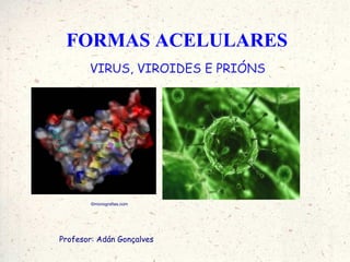 FORMAS ACELULARES
       VIRUS, VIROIDES E PRIÓNS




        ©monografias.com




Profesor: Adán Gonçalves
 