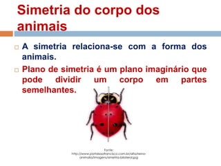 Simetria do corpo dos
animais
 A simetria relaciona-se com a forma dos
animais.
 Plano de simetria é um plano imaginário que
pode dividir um corpo em partes
semelhantes.
Fonte:
http://www.portalsaofrancisco.com.br/alfa/reino-
animalia/imagens/simetria-bilateral.jpg
 