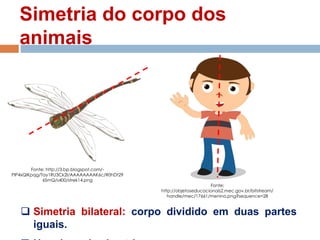 Simetria do corpo dos
animais
 Simetria bilateral: corpo dividido em duas partes
iguais.
Fonte:
http://objetoseducacionais2.mec.gov.br/bitstream/
handle/mec/17661/menino.png?sequence=28
Fonte: http://3.bp.blogspot.com/-
PIP4xQlKpqg/Tay1RU3Ck2I/AAAAAAAAK6c/R0hDt29
6SmQ/s400/strek14.png
 