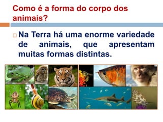 Como é a forma do corpo dos
animais?
 Na Terra há uma enorme variedade
de animais, que apresentam
muitas formas distintas.
 