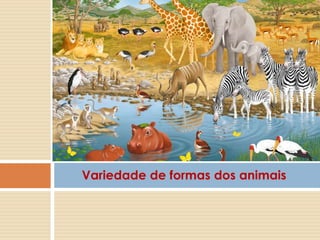 Variedade de formas dos animais
 