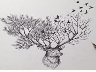 Formas animales en lo natural