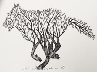 Formas animales en lo natural