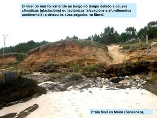 O nivel do mar foi variando ao longo do tempo debido a causas
climáticas (glaciacións) ou tectónicas (elevacións e afundimentos
continentais) e deixou as súas pegadas no litoral.
Praia fósil en Maior (Sanxenxo).
 